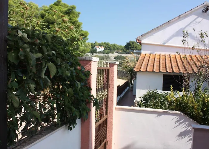 5180a Маслиница